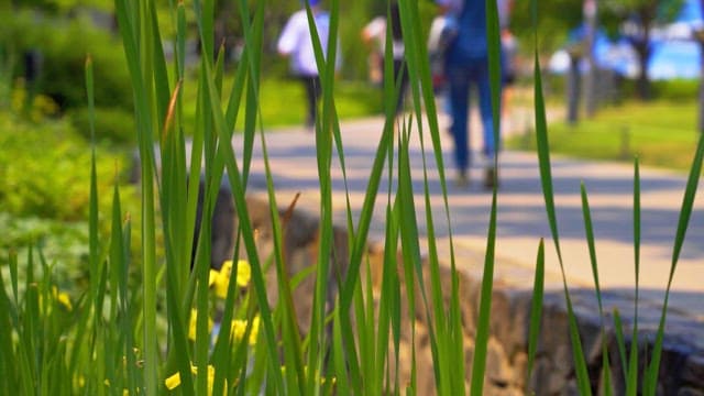 People strolling in a park on a bright sunny day