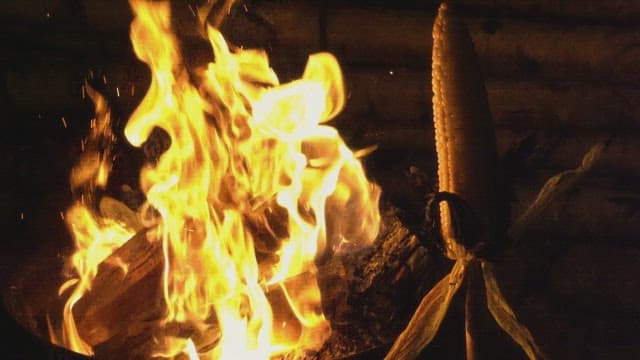 Corn roasting over an open flame