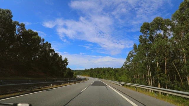 Scenic Drive on a Sunny Day Through the Road