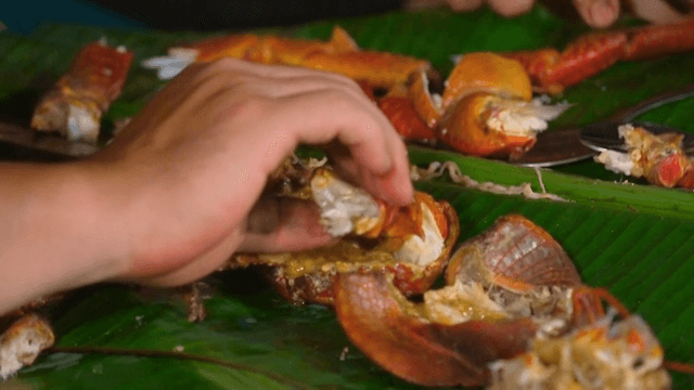 Appetizing coconut crab plated on banana leaf