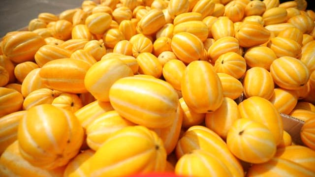 Well-ripened Korean Melons Displayed in the Market