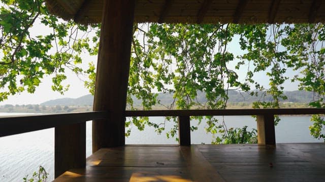View of the river between the trees from the pavilion