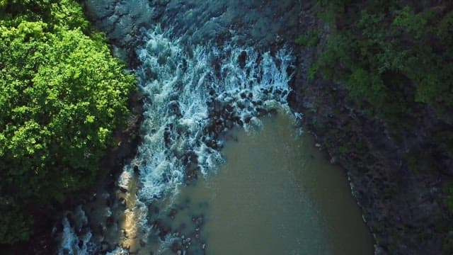 Valley surrounded by dense forest