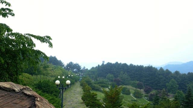 Tranquil park walkway lined with lush vegetation and street lights