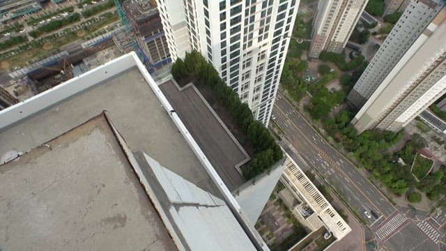 Hawk perched on a high-rise building rooftop