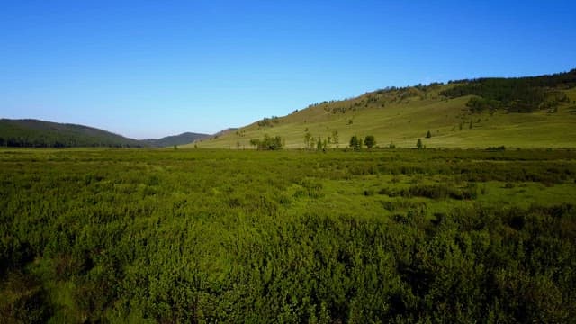 Vast green landscape under a clear blue sky