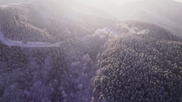 Snow-Covered Mountain in the Morning Sunlight