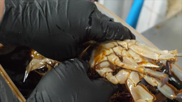 Hands preparing fresh and delicious soy sauce marinated crab