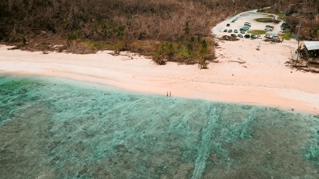 Couple walking along a serene beach