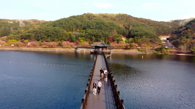 Scenic bridge over a tranquil river