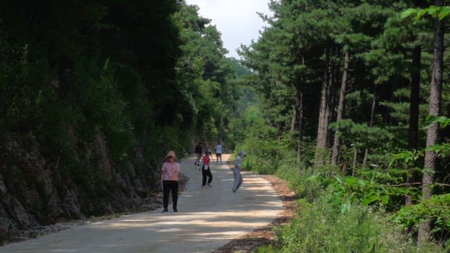 People walking on a forest path