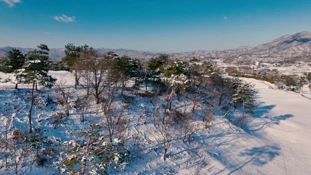Snow-covered Landscape with Pine Trees and Mountains
