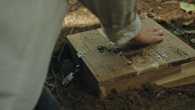 Paper Cranes Filled with Memories in a Box Buried in the Ground