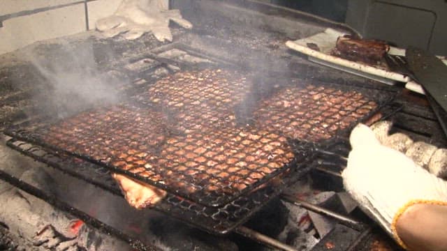 Grilled Short Rib Patties Grilled in an Oven