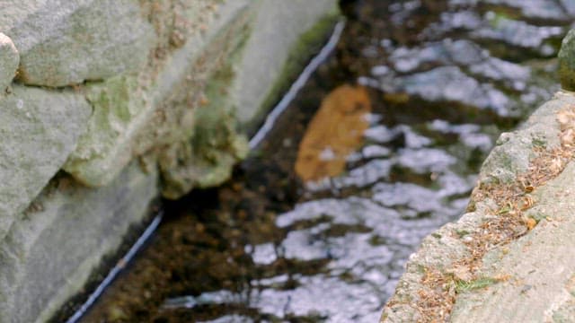 Small stream flowing between rocks