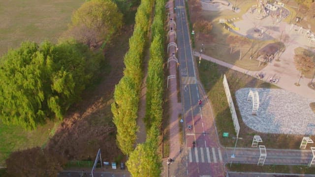 Aerial view of a park with pathways and trees