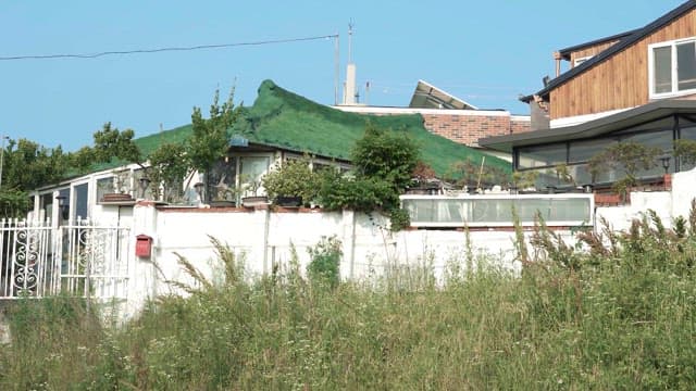Country house with lush front yard