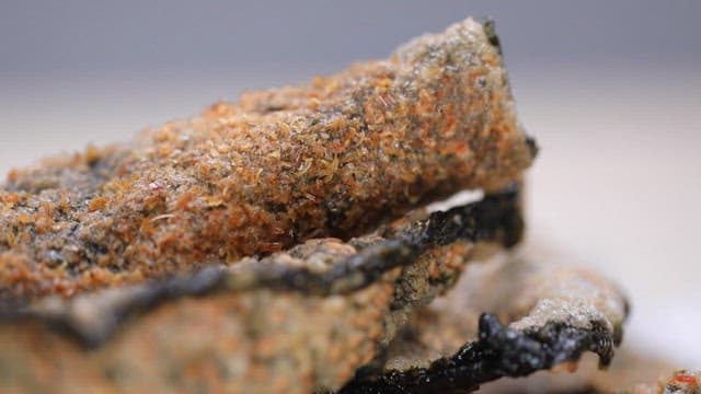 Crispy laver chips stacked together