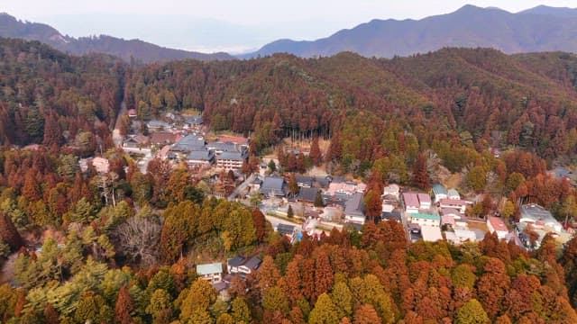 Village nestled in a forested mountain