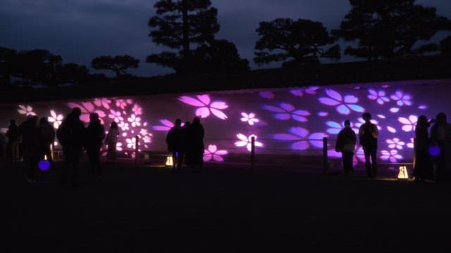 Evening light show with flower patterns projected onto a wall with people observing