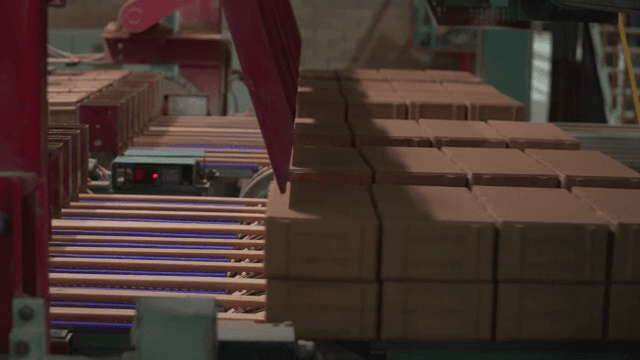 Bricks moving on a conveyor belt in a factory