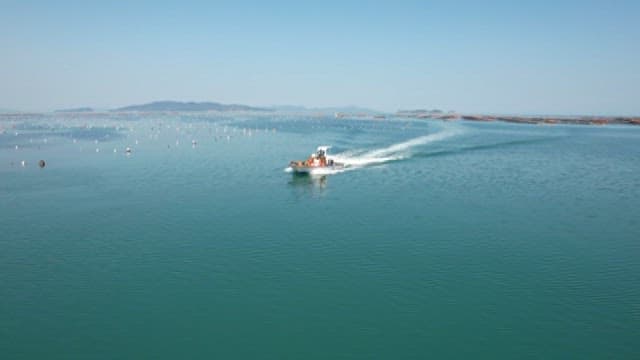Fishing boats passing near coastal fish farms on a sunny day