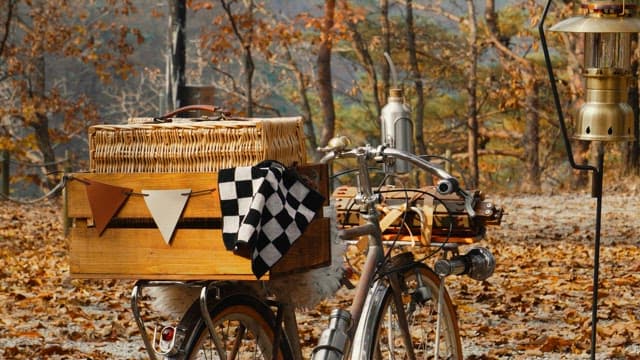 Bicycle with Picnic Basket on a Woodland Path