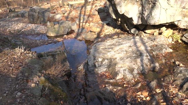 Rocky stream in a forested area