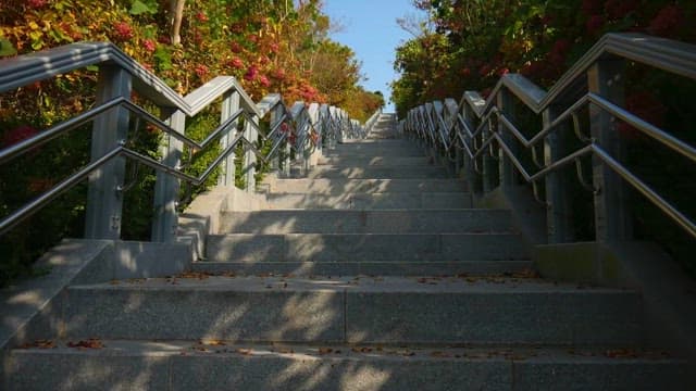 Stairway lined with railing and autumn leaves