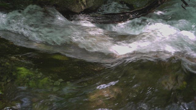 Flowing stream with clear water