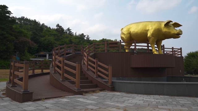 Golden Pig Statue at a Public Park