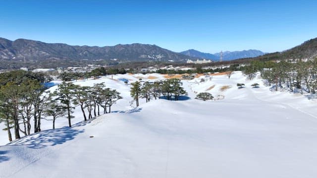 Snow-covered landscape with mountain and trees