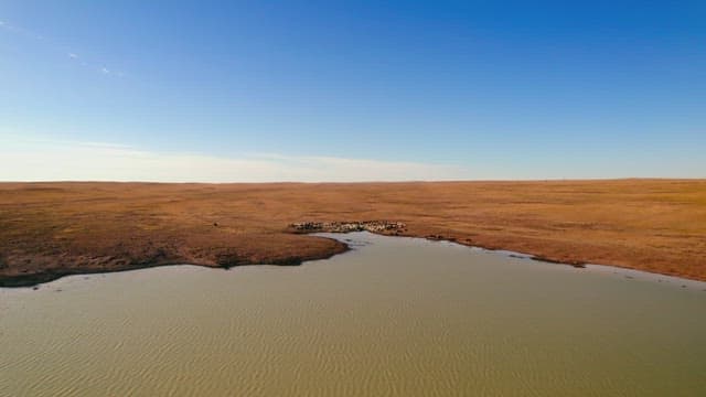 Herd of Animals at Watering Hole in Vast Plains