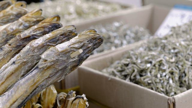 Boxes of various dried fish neatly arranged inside a marketplace