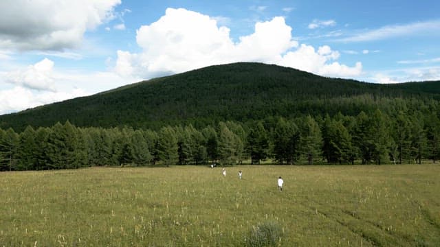 People walking on the lawn leading to the forest