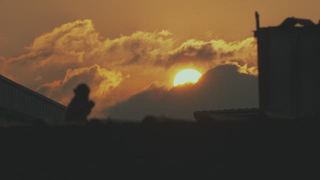 Silhouette of Monkeys at Sunset with Dramatic Clouds