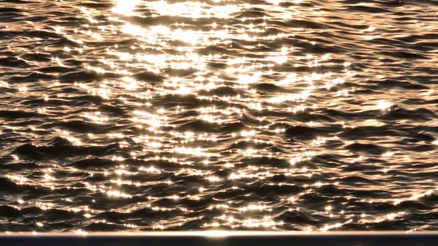 Sunlight reflecting on rippling water