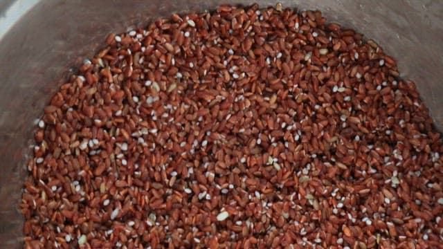 Stainless steel container filled with brown rice