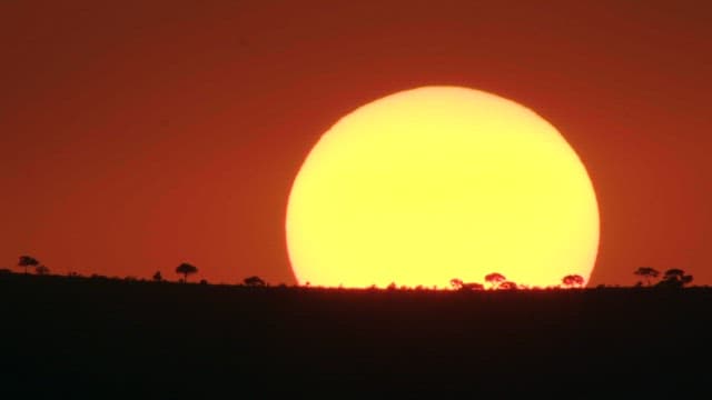 Dramatic Sunset Over Silhouetted Trees