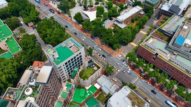 Occasional Green Spaces Between Dense Buildings