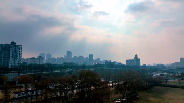Contrast Between a Sun-Drenched Park and a Busy City