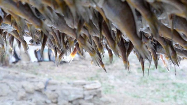 Barley gulbi hanging outdoors to dry