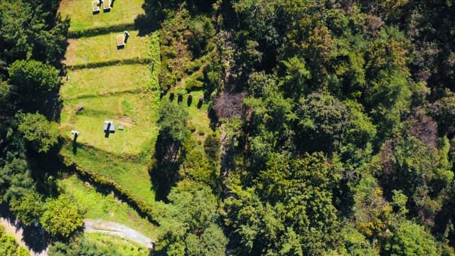Lush forested hills and a cemetery during daytime