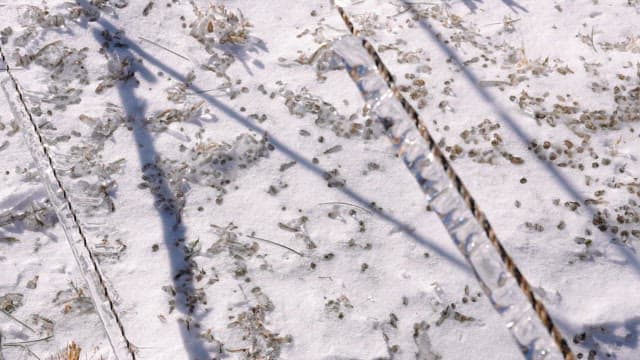 Icicles Hanging from a Rope on a Cold Winter Day