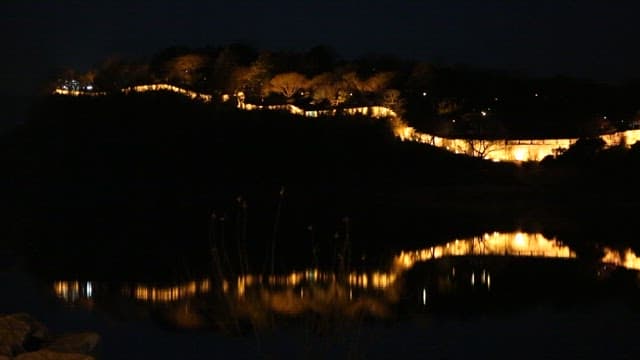 Illuminated Park at Night Reflected in the Water