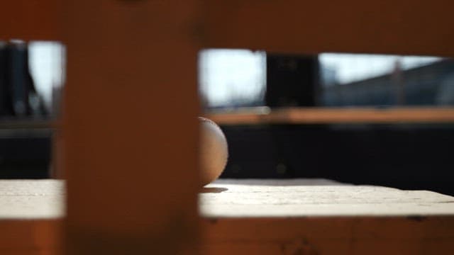 Baseball ball on a wooden deck in the sunlight