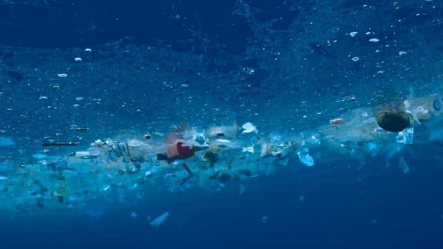 Plastic waste floating in the ocean