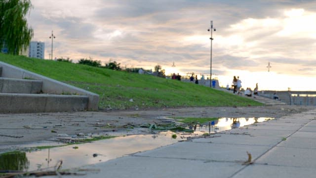 People relaxing in a park at sunset