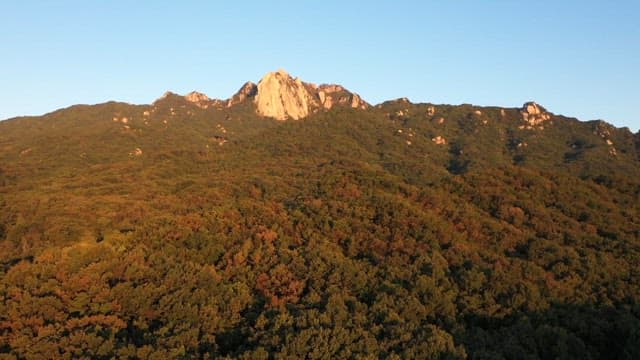 Rocky mountain with a view of a lush, green forest