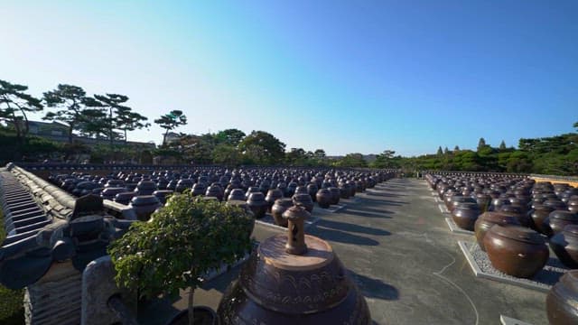 Traditional Korean Jars Displayed Frontyard